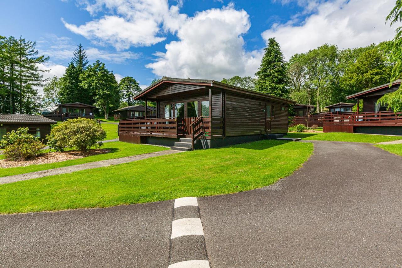Bluebell Lodge 9 With Hot Tub Newton Stewart Eksteriør billede